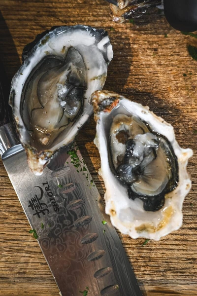 Shiori 3-Set 撓 Kuro V2 Shōto + Murō + Sifu - zestaw trzech noży ze stali damasceńskiej