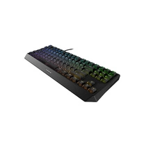 CHERRY MX 1.0 TKL RGB CZARNA MX BROWN SWITCH